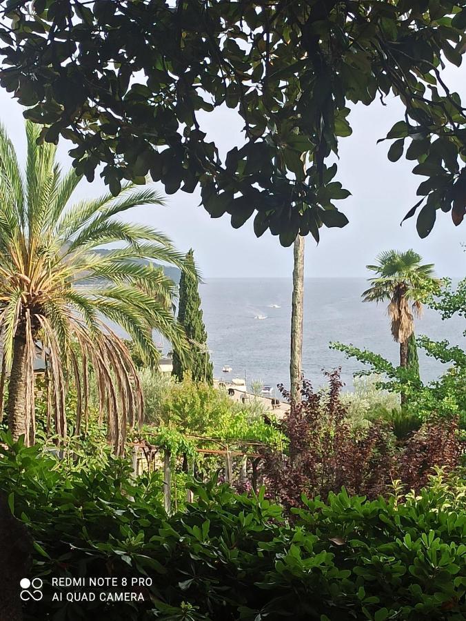 Apartment Cepic Herceg Novi Exterior photo