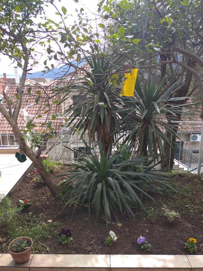 Apartment Cepic Herceg Novi Exterior photo