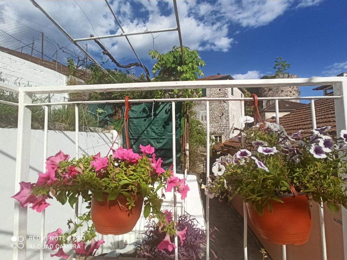 Apartment Cepic Herceg Novi Exterior photo